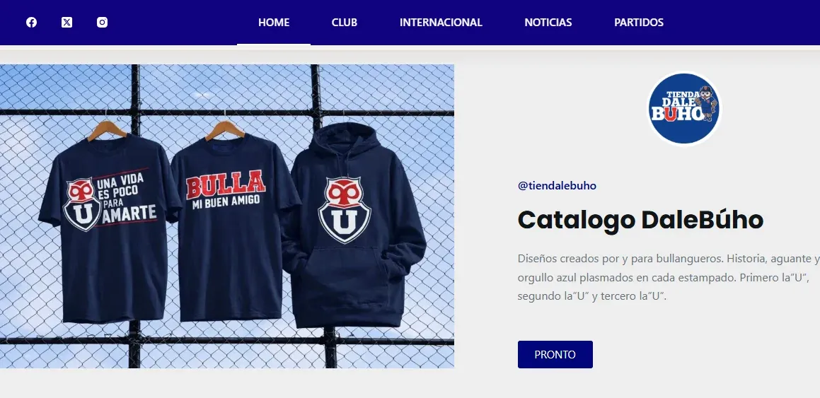 DaleBuho.cl · Blog Informativo portfolio project