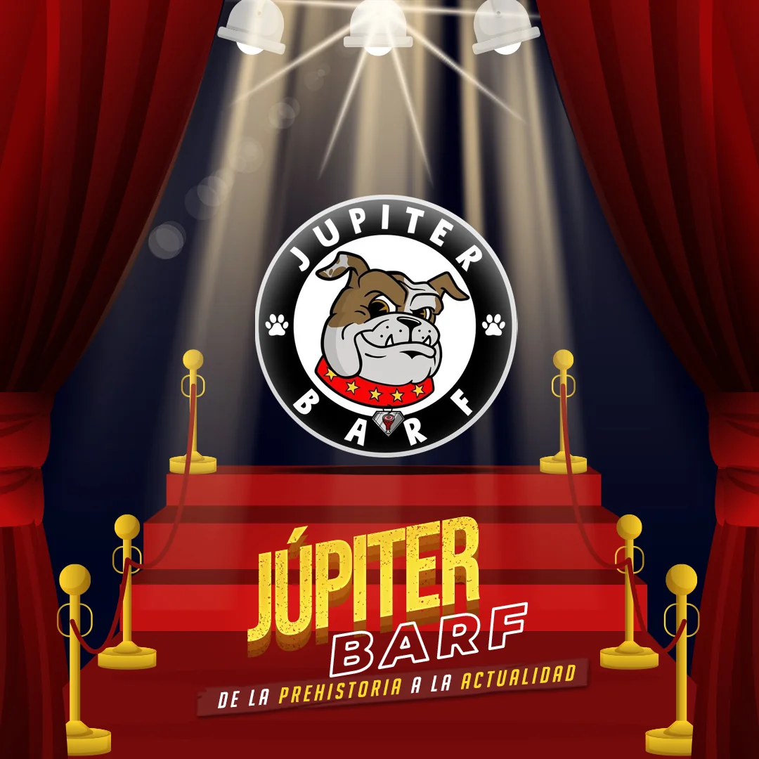 Presentación de marca y campaña de lanzamiento de Jupiter BARF