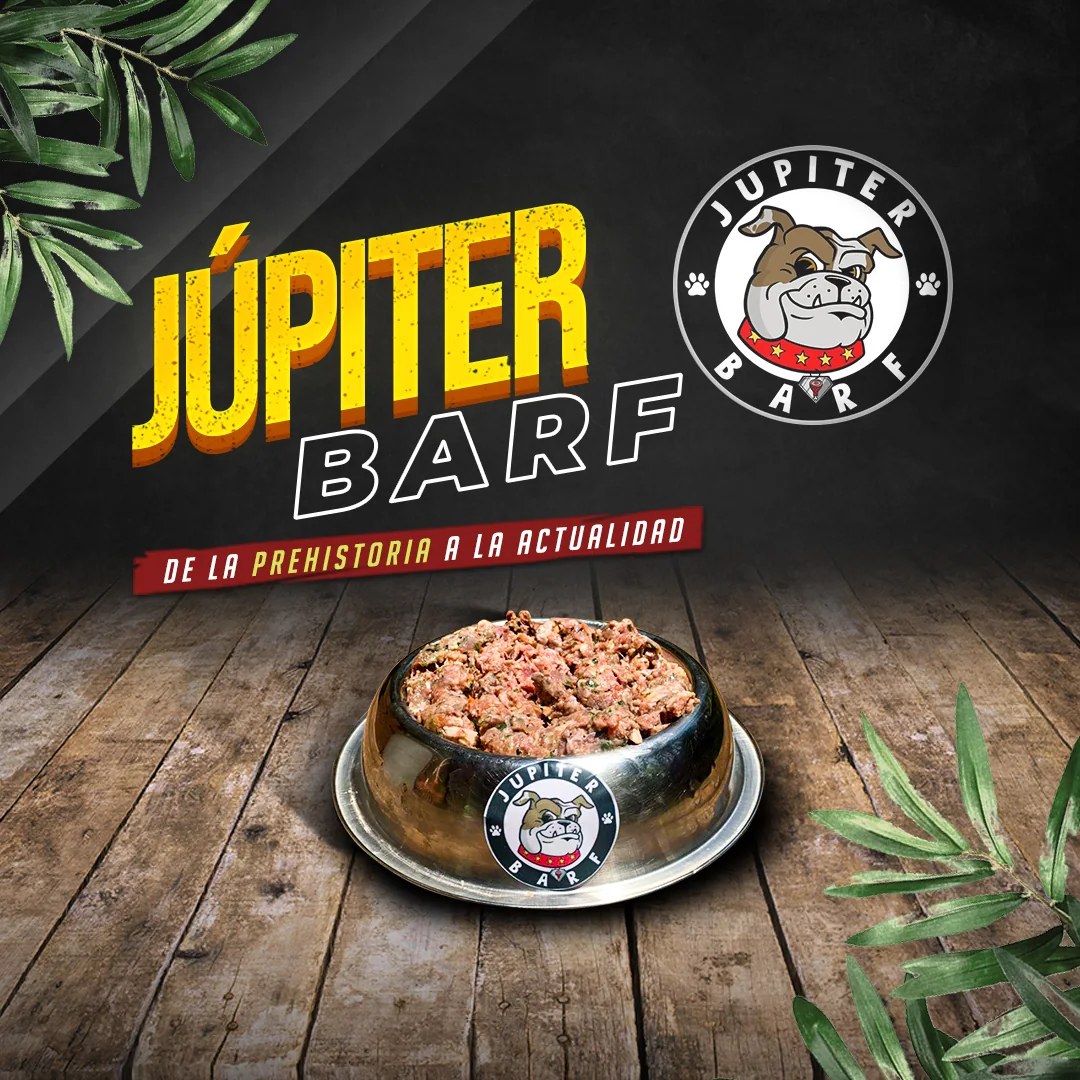 Pieza de presentación de producto y propuesta de marca Jupiter BARF