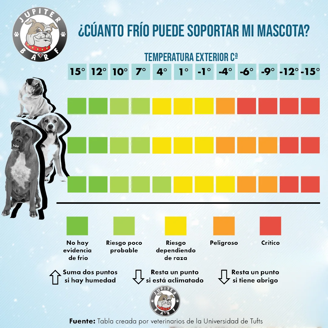 Infografía educativa sobre frío y mascotas diseñada para Jupiter BARF