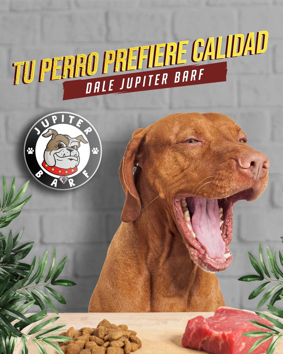 Campaña publicitaria Tu perro prefiere calidad de Jupiter BARF