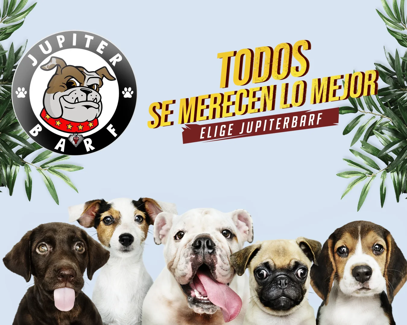 Pieza de posicionamiento de marca diseñada para Jupiter BARF