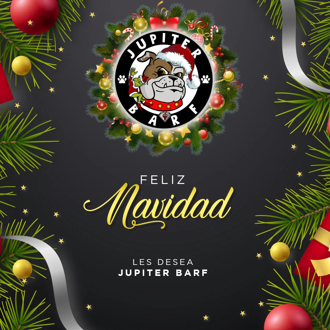 Publicación navideña creada para las redes de Jupiter BARF