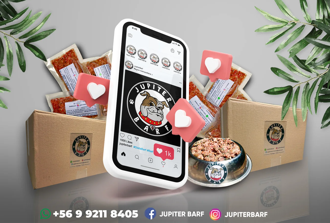 Digital campaign and product presentation created for Jupiter BARF